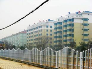 遷安PVC塑鋼護(hù)欄 廠家直銷，原生料生產(chǎn)，全國(guó)最低價(jià)