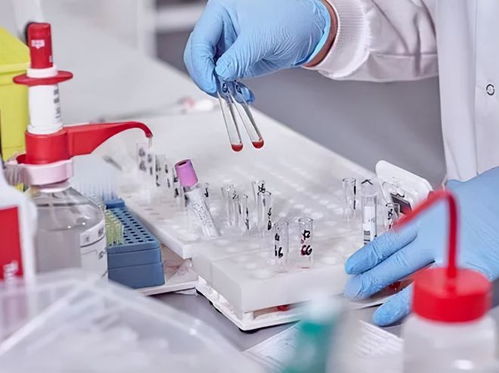 酒店洗護(hù)用品 在“洗牌、淘汰、升級(jí)”中重塑行業(yè)標(biāo)準(zhǔn)